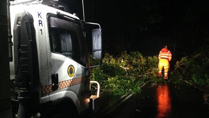 Kiama SES posted a photo on Facebook of work being carried out to remove a tree blocking Jamberoo Mountain Road.