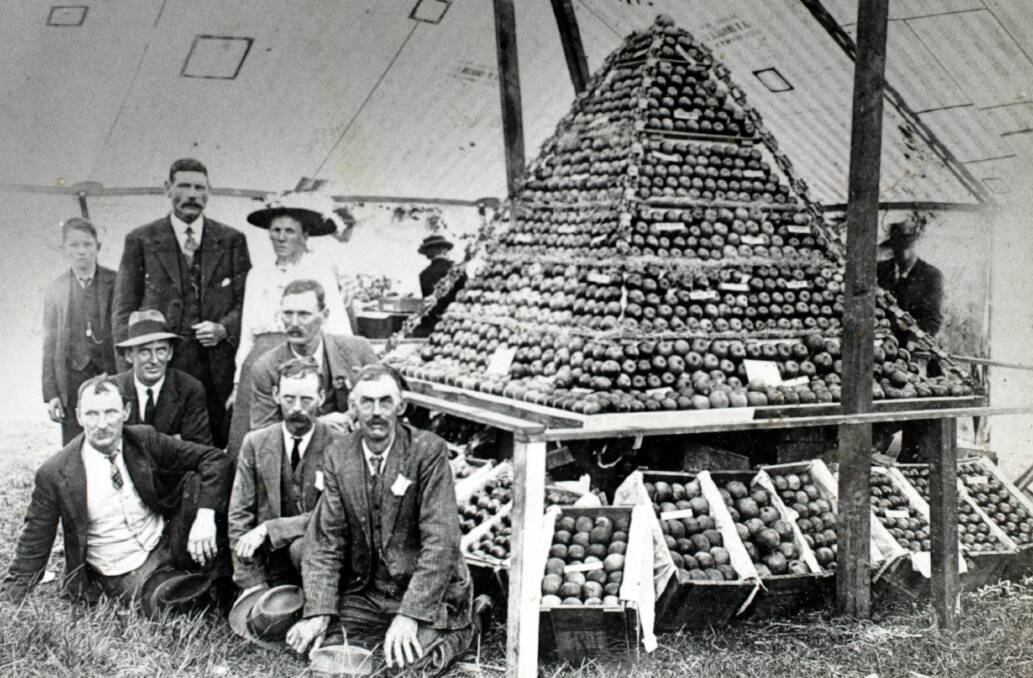 Orchards in the Cordeaux River valley prospered in the 1800s and the first half of the 20th century. They regularly entered the Wollongong Show. Edward Rees is pictured third from the left.