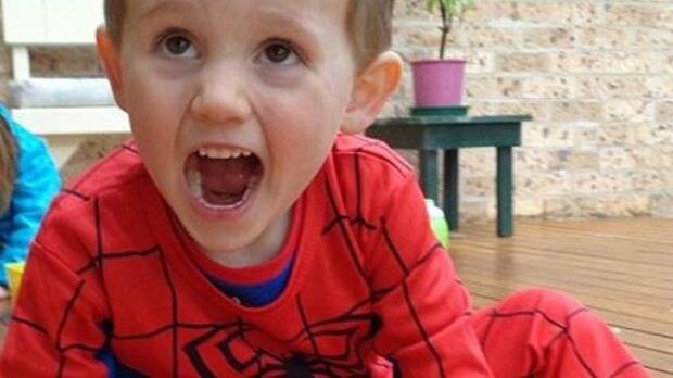 William Tyrrell went missing from his grandmother's home on September 12 last year. Picture: Supplied