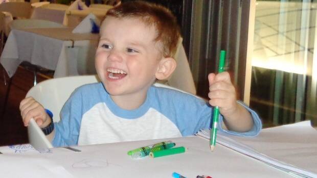 A newly released image of missing boy William Tyrrell. Picture: NSW Police