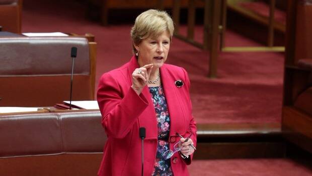 Senator Christine Milne will not contest the 2016 election. Picture: ANDREW MEARES