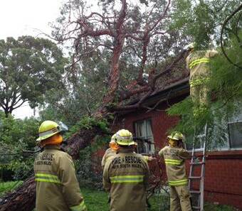 A tree has fallen on the roof of a house at Towradgi. Picture courtesy of Thirroul FRNSW_269: Facebook