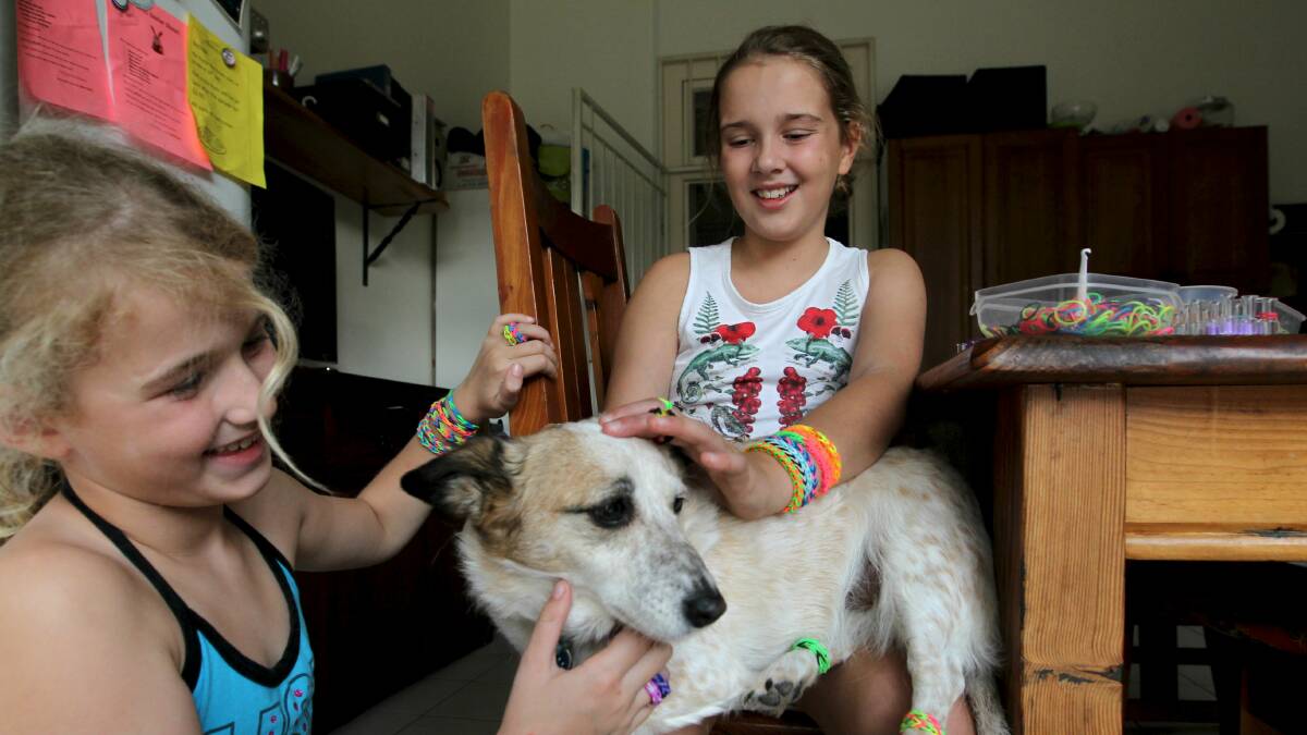 Canine capers: Isabelle (right) and Phoebe Myers get their dog into the loom band trend. Photo: Janie Barrett