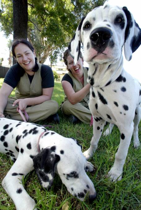 Pet-sitters Samantha Tatlock (left) and Skye Broadhurst have found the ultimate stress-free job which gives them a good laugh. They often return home with paw prints on their face.