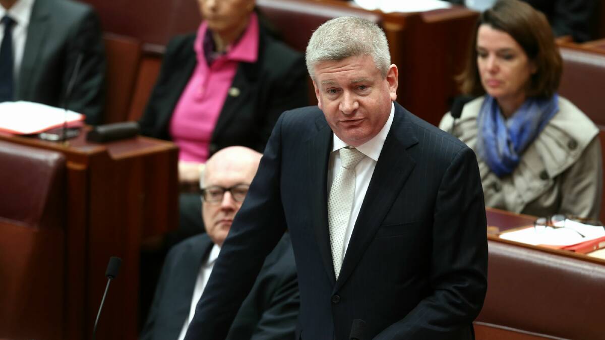 Assistant Social Services Minister Mitch Fifield.
