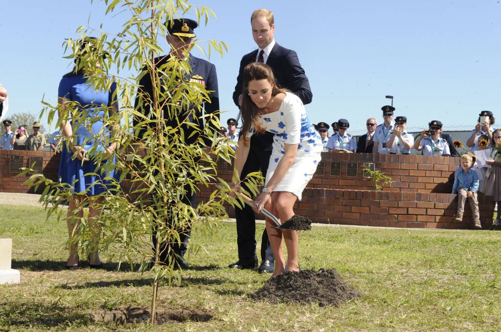 Catherine plants a Plunkett Mallee tree at the Memorial Garden during a visit to the Royal Australian Airforce Base at Amberley. Picture: GETTY IMAGES