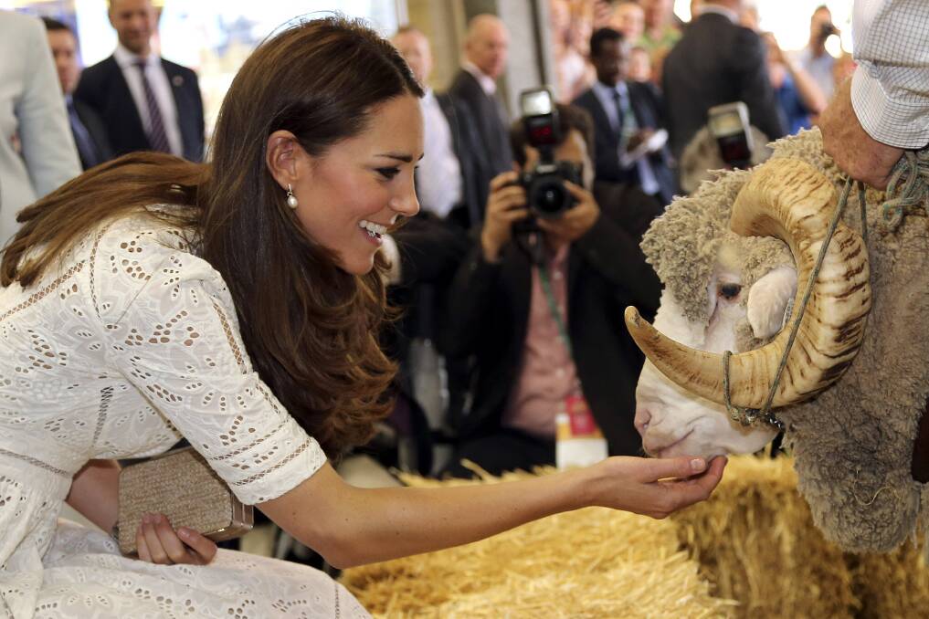 Catherine, Duchess of Cambridge, pats Fred the Merino Ram during a visit to the Sydney Royal Easter Show. Picture: GETTY IMAGES