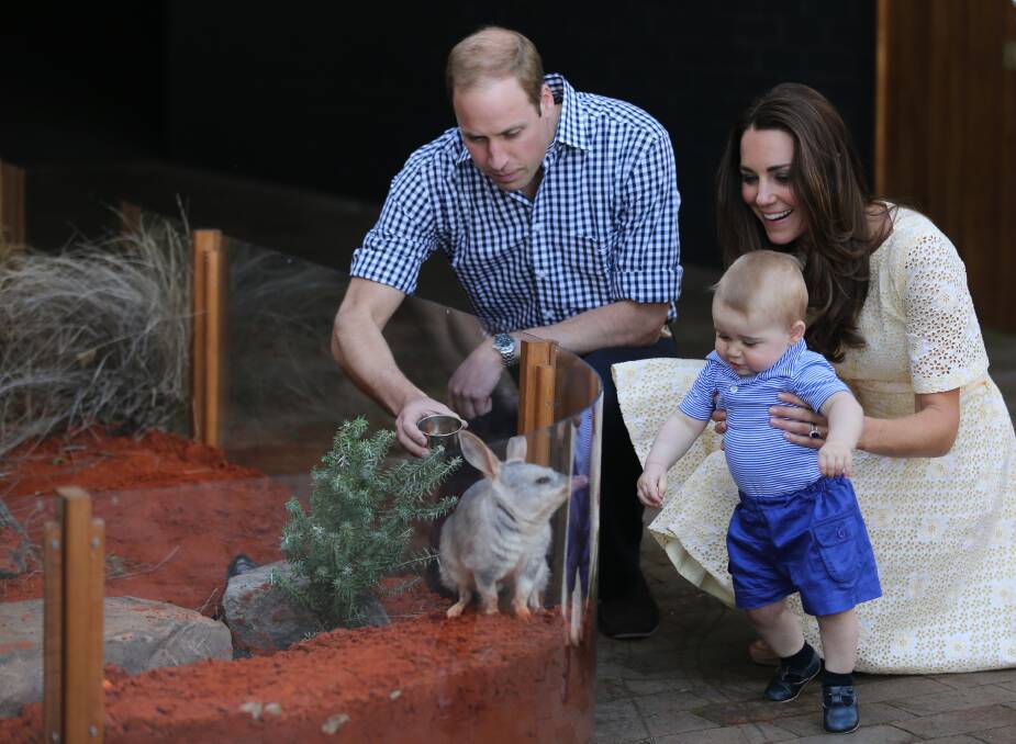 The Duke and Duchess of Cambridge introduce their son Prince George to bilby George, named after the young prince, at Taronga Zoo. Picture: KATE GERAGHTY