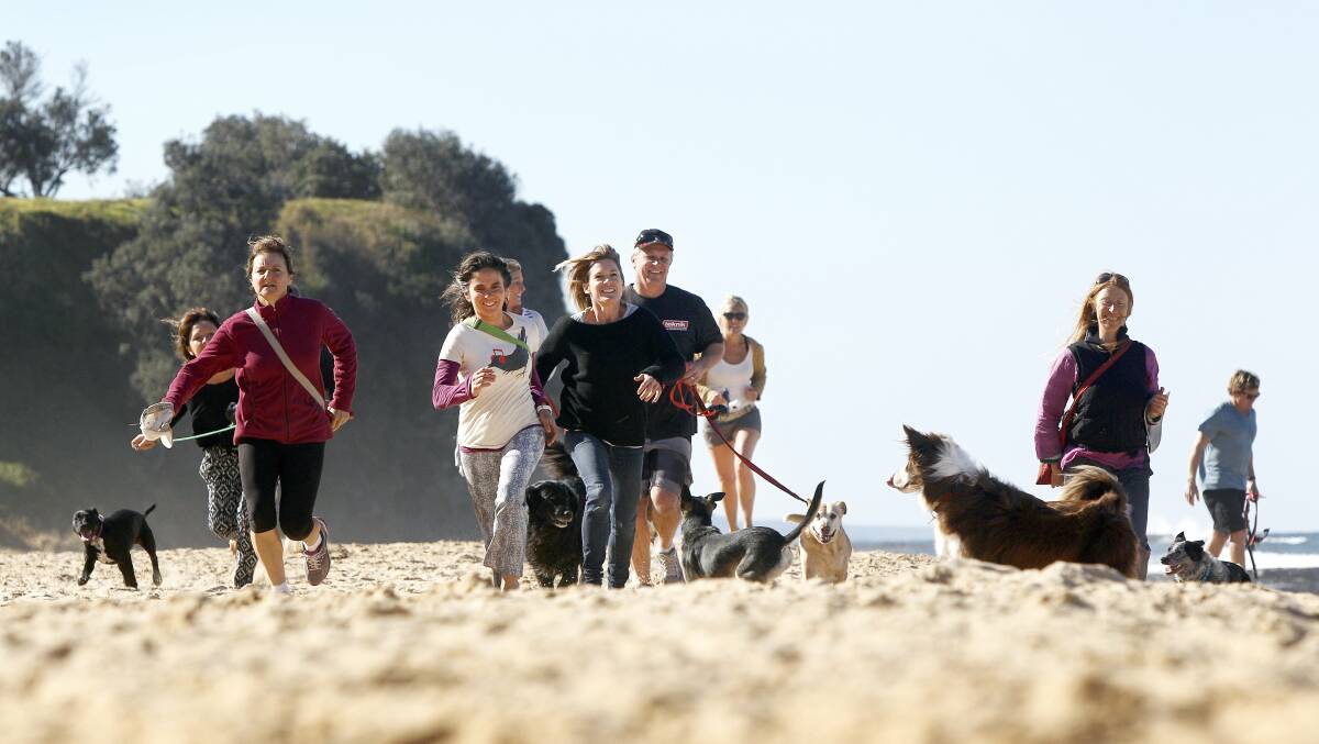 Dog owners playing on the off-leash area at Sharkeys Beach. Picture: SYLVIA LIBER