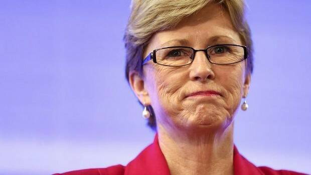 A question of mission creep? Greens leader Christine Milne says parliament should debate the decision to drop arms in Iraq. Picture: ALEX ELLINGHAUSEN