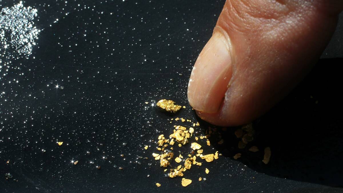 Flakes of gold reward the Langlands’ persistence in searching for the precious metal. Picture: SYLVIA LIBER