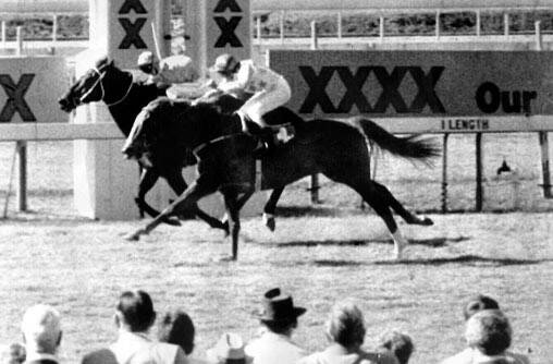 Fine Cotton ring-in Bold Personality wins at Eagle Farm in 1984.