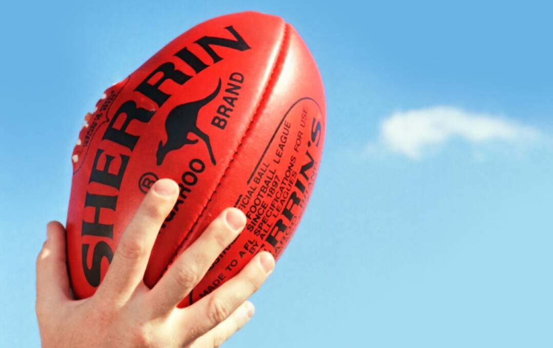Top dogs: Wollongong Bulldogs showed they will be tough to defy a fourth straight South Coast AFL Seniors premiersship after a 12-goal win over a spirited Shellharbour in the first match of the season for both clubs. 