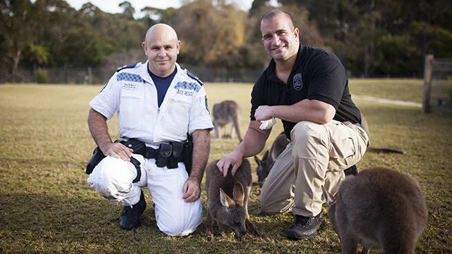 NSW Police Rescue and Bomb Disposal Unit Leading senior constable Marcus Backway with New York 9/11 survivor Sgt Anthony Lisi, of NYPD, enjoyed time out meeting native Australian animals at Symbio while on an information exchange visit. Picture by Kevin Fallon.


