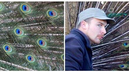 Symbio zookeeper Ryan impersonating a peacock.