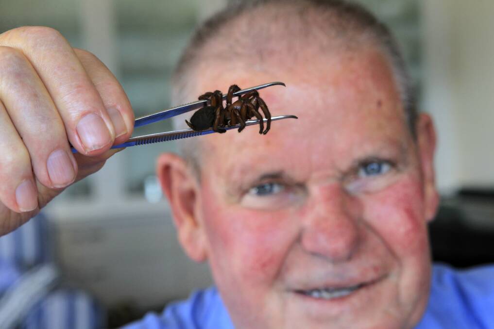 Remembered:  Through his own interest and personal study, Graham Wishart became an expert in eight-legged creepy crawlies, particularly funnel-web and trap-door spiders. Picture: ORLANDO CHIODO
