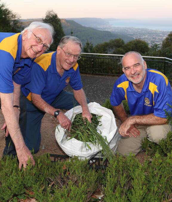 Mount Keira: Rotarians Ian Hart, Brian Reid and Jim Hughes are regularly involved in working bees to make Mount Keira Summit Park ship shape for visitors such as those coming via Radiance of the Seas. Picture: Greg Ellis.
