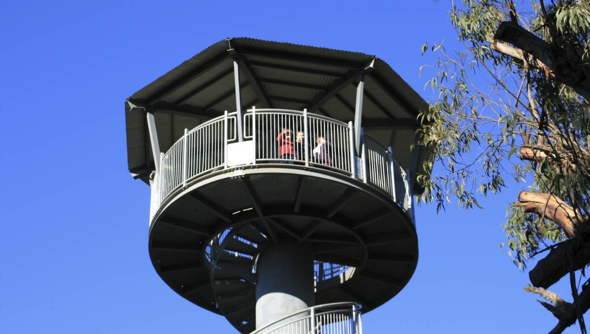Tourism sky high: Visitor numbers spiraling up at Illawarra Fly Treetop Adventures near Robertson which saw a substantial increase in Sydneysiders over Easter. Picture: Greg Ellis.
