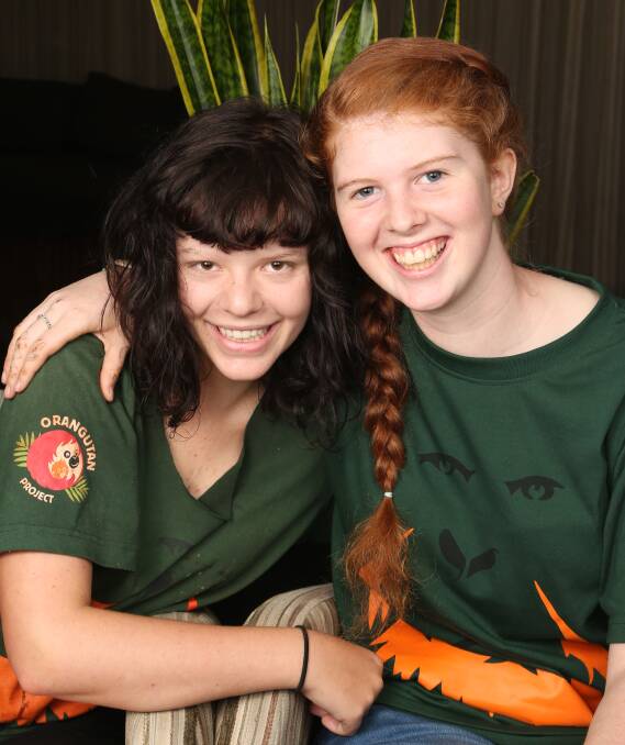 Wollongong's wildlife savers: After completing their HSC St Mary's students Sophie Hauser and Meg Cummins decided to spend a month with an orangutan rescue centre in Borneo. Picture: Greg Ellis.
