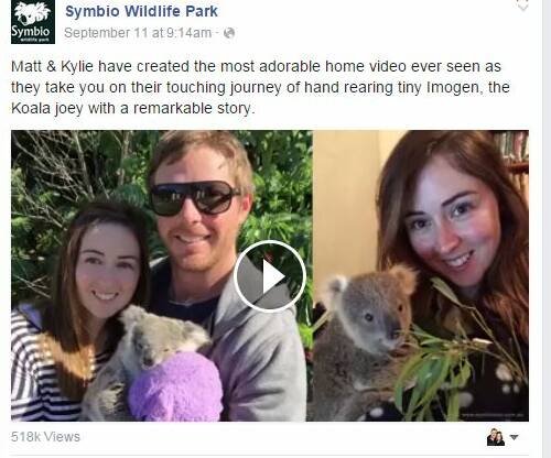 VIRAL KOALA: A video of Symbio koala joey Imogen and her human carers Matt Radnidge and Kylie Elliot is the number one trending Facebook post in the world.