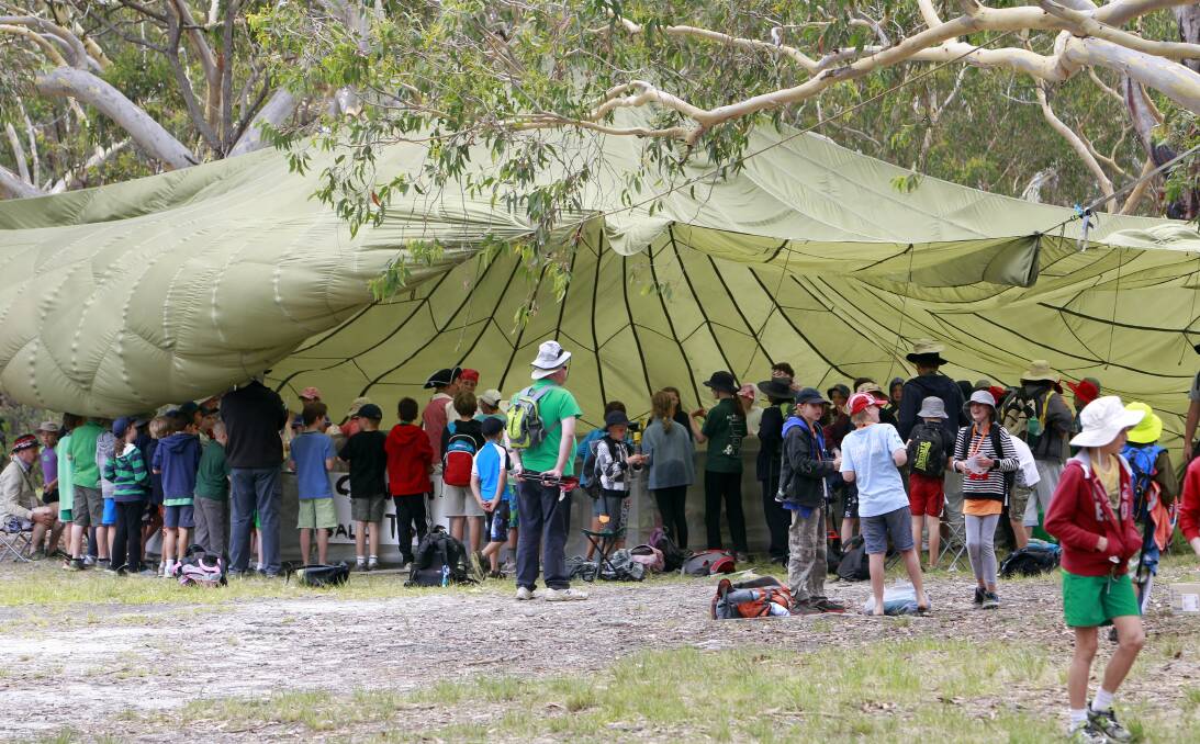 Scouts at Cataract Scout Park in 2014. Picture: Andy Zakeli.