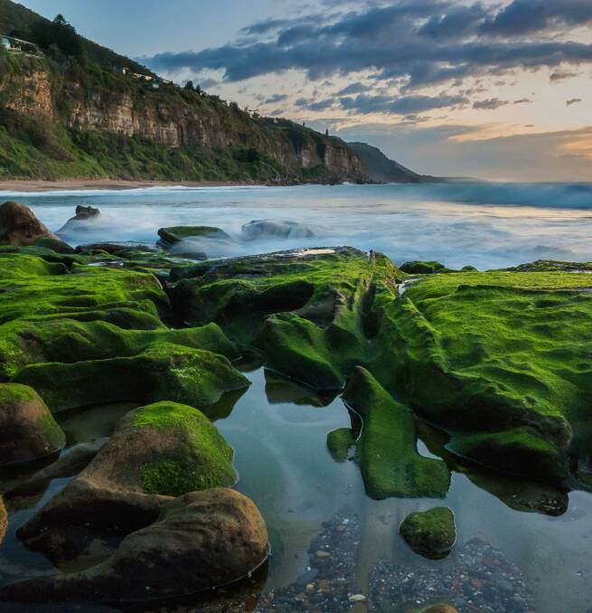 MOSS ON THE ROCKS: A blue and green Illawarra Instamoment captured by a visiting Instagram influencer during Wollongong's first Instaweek. Picture: Garry Norris
