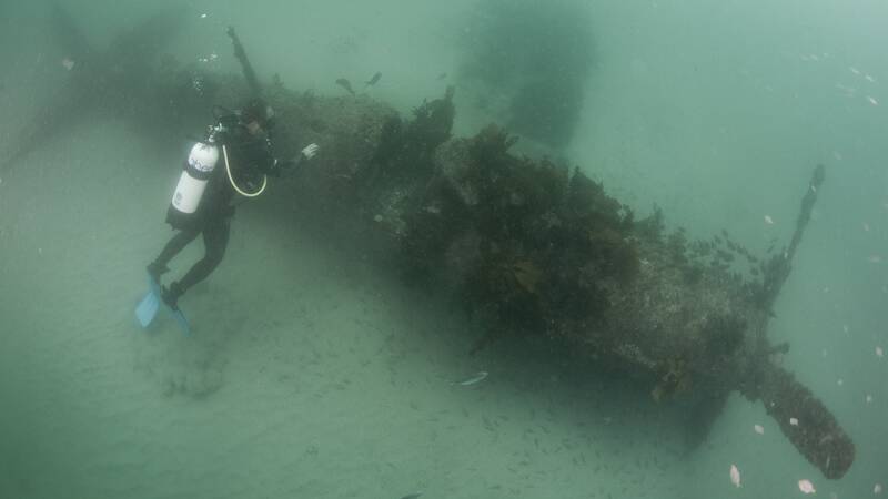 Missing aircraft wreckage found off South Coast: photos