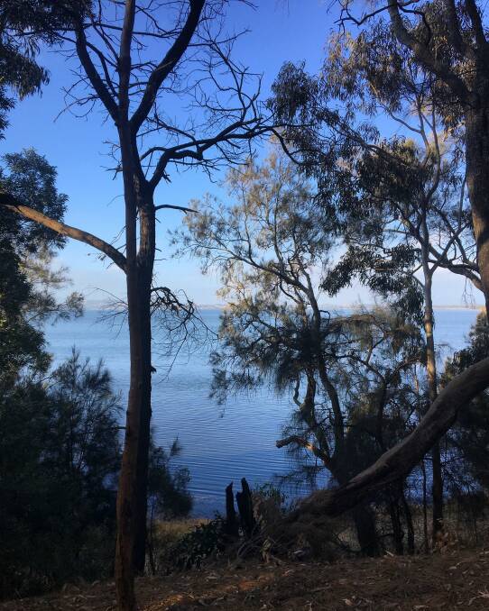 WATERSIDE: Lake Illawarra at Mt Warrigal by Rylee Cole. Send us your photo to letters@illawarramercury.com.au or post to our facebook page.
