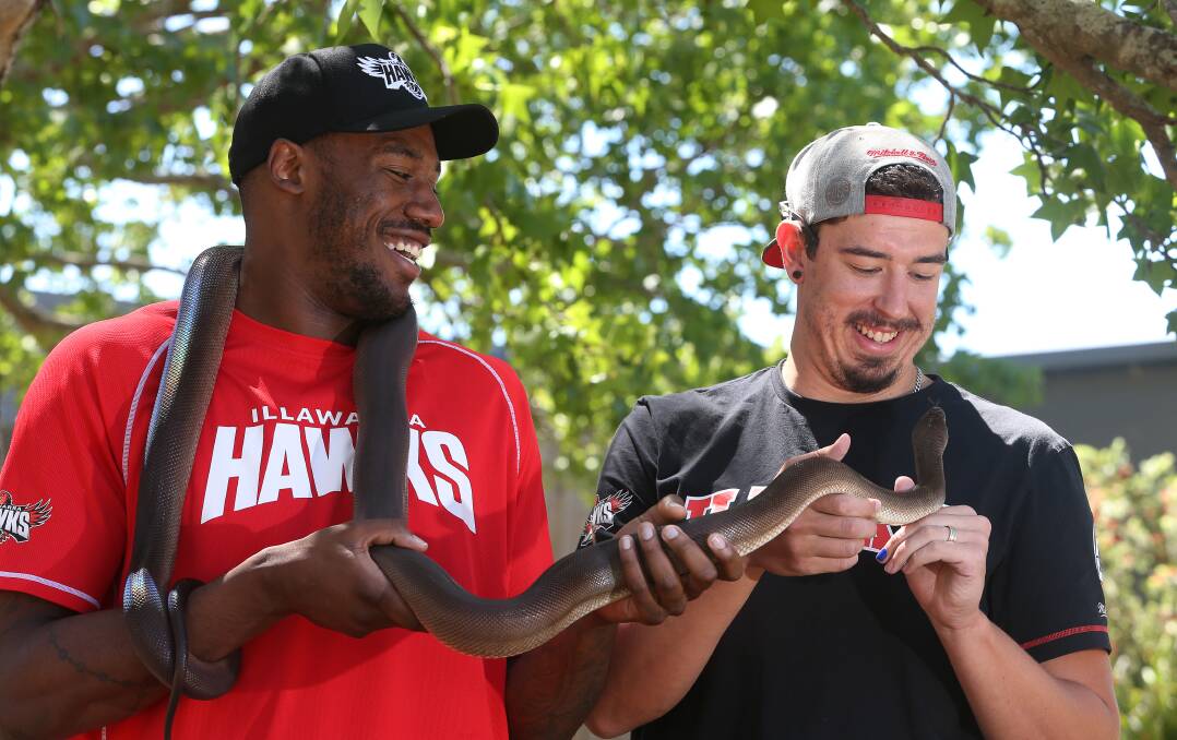 SSSSSSS-UPRISE: Hawks import Delvon Johnson got a slithery shock from team-mate Cody Ellis during the filming of #Hawkward at Symbio this week. SEE THE VIDEO BELOW. Picture: Robert Peet.
