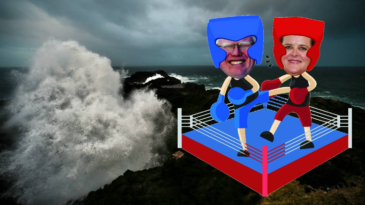 Liberal Kiama MP, and parliamentary secretary for the Illawarra, Gareth Ward and Member for Shellharbour Anna Watson were at each other again in State Parliament last week. The latest war of words saw Ms Watson suggest there were two blowholes in Kiama - "One is by the sea and the other is on Terralong Street". Picture: Digitally altered.