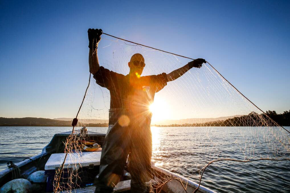 Commercial fisherman Paul Heron, from Dapto, on Lake Illawarra. Picture: Adam McLean