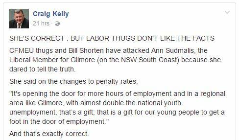 SUPPORT: Liberal Member for Hughes Craig Kelly took to Facebook to back Ms Sudmalis' penalty rate comments.
