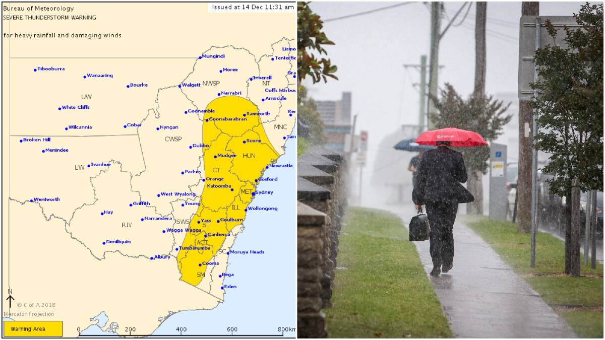 Warning issued for heavy rain, damaging winds in the Illawarra
