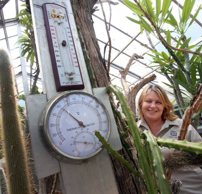 HOT: Karen Wareing inside the Sir Joseph Banks glasshouse at the Wollongong Botanic Gardens, where temperatures surpassed 40 degrees on Tuesday. Picture: Robert Peet 