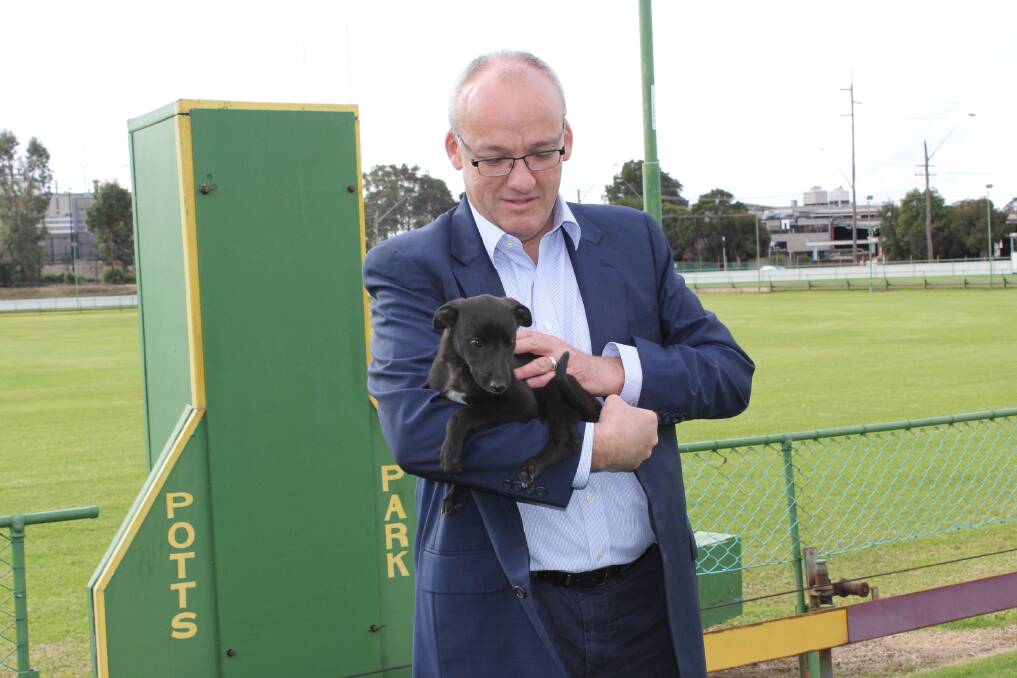 Opposition Leader Luke Foley with six-week-old puppy, Sputnik. The dog's future is uncertain as a result of the ban. Picture: Peter Davis