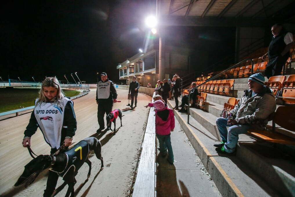 Dapto Dogs held an 11-race meeting on Thursday night, a week after NSW Premier Mike Baird revealed his government would ban the sport from July 1, 2017.