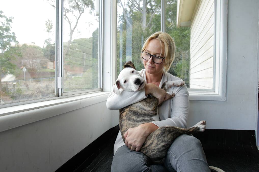 ON THE MEND: Wollongong Animal Rescue Network (WARN) founder Naomi John with staffy-cross Greg, who is being cared for after ingesting marijuana. Picture: Adam McLean
