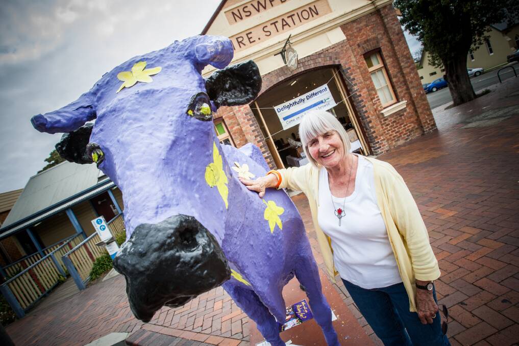 Daisy the Decorated Cow with Phyl Lobl, writer of a book on the Kiama icon. Picture: DYLAN ROBINSON