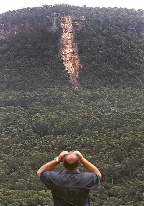 Mark Luchetti, of Figtree, checks out a recent landslide on Mt Keira. Picture: KIRK GILMOUR