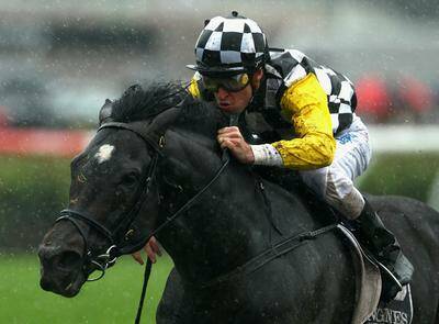 Melbourne Cup '10: So You Think you can join immortals