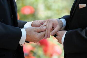 Gay marriage proposal overshadowed