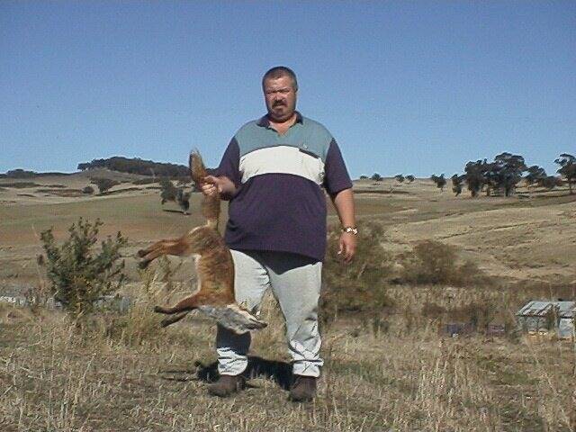 John Chmurycz is in favour of hunting and culling feral animals like this fox in national parks.