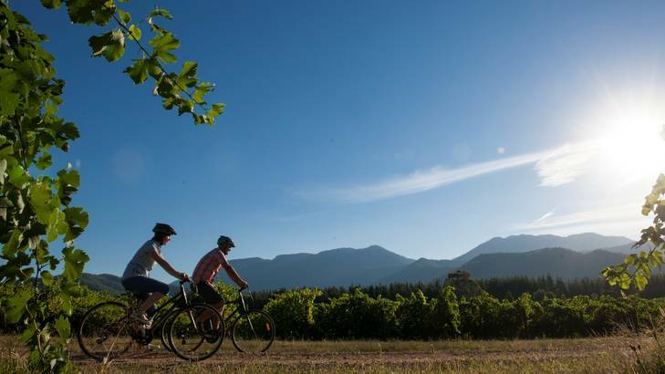 Take a relaxing bike ride through wine country.