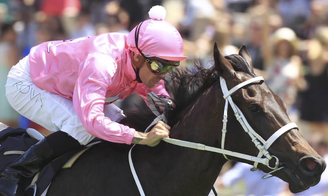 Corey Brown guides Champagne Cath to victory at Rosehill last Saturday. Picture: JENNY EVANS