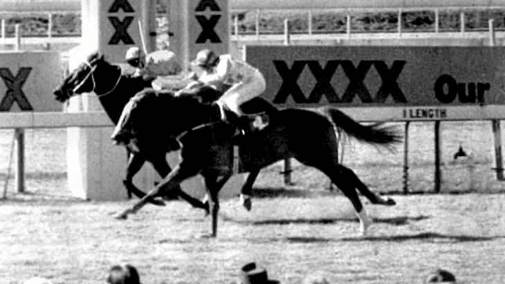 Fine Cotton ring-in, Bold Personality, winning a race at Eagle Farm in 1984