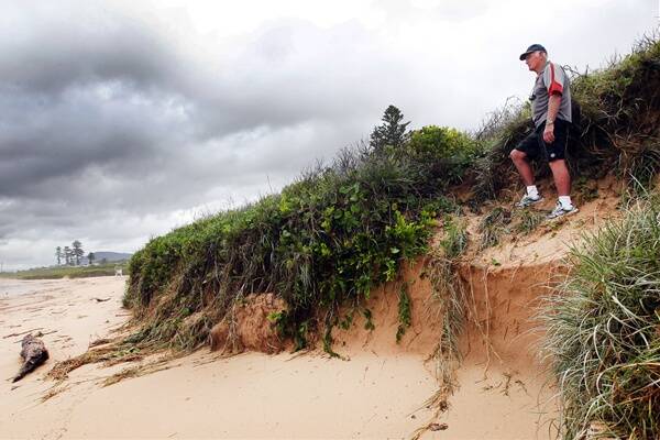 Bulli resident Richard De Jonge takes a look at one of the transformed sand embankments yesterday. Picture: SYLVIA LIBER