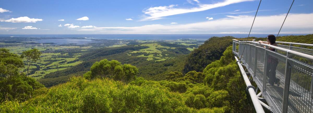  The Illawarra Fly Treetop Walk offers spectacular views of the South Coast.
