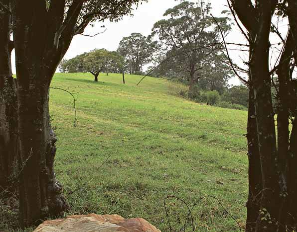 A North Sydney developer plans to subdivide 4.5ha of former agricultural land at Figtree to create a new housing estate. Picture: ORLANDO CHIODO