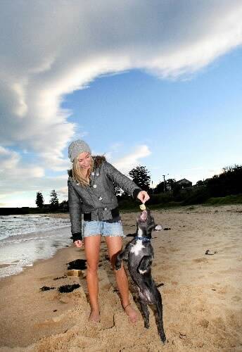 Em Baker with her English staffy at Little Austinmer beach. Picture: KIRK GILMOUR