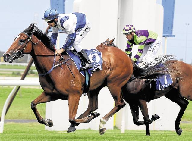 Atmospherical, ridden by Mitchell Bell, wins the Maiden Plate at Kembla Grange on Saturday. Picture: SYLVIA LIBER